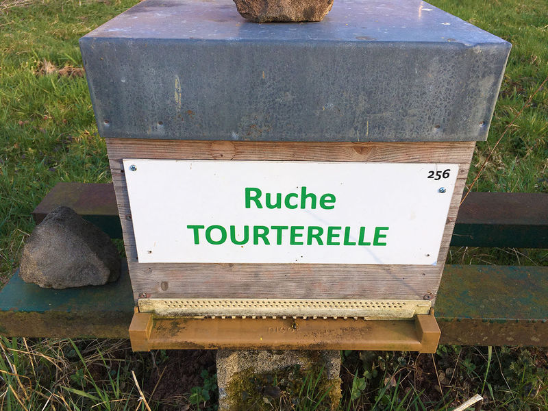 La ruche Tourterelle