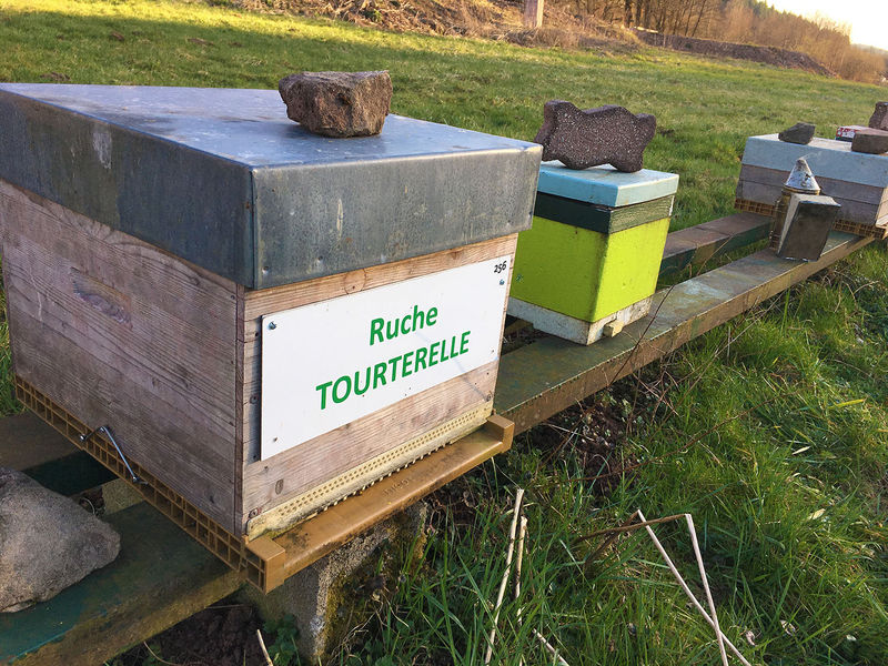 La ruche Tourterelle