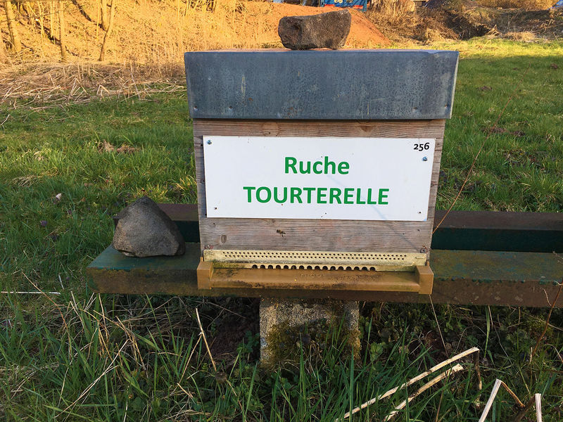 La ruche Tourterelle