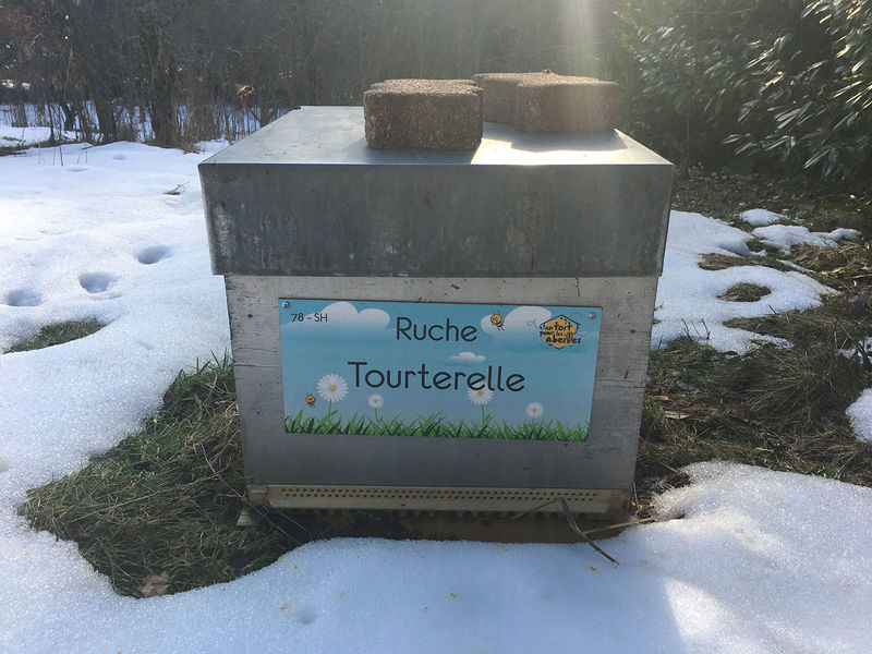 La ruche Tourterelle