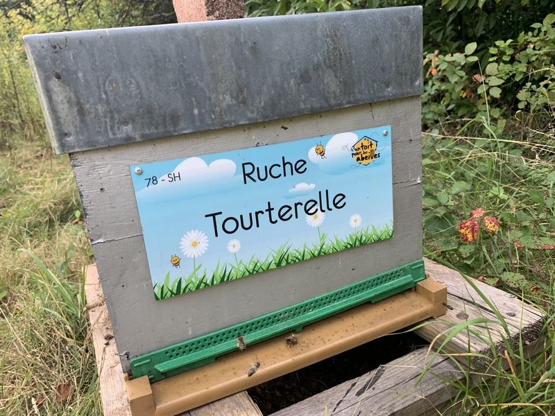 La ruche Tourterelle