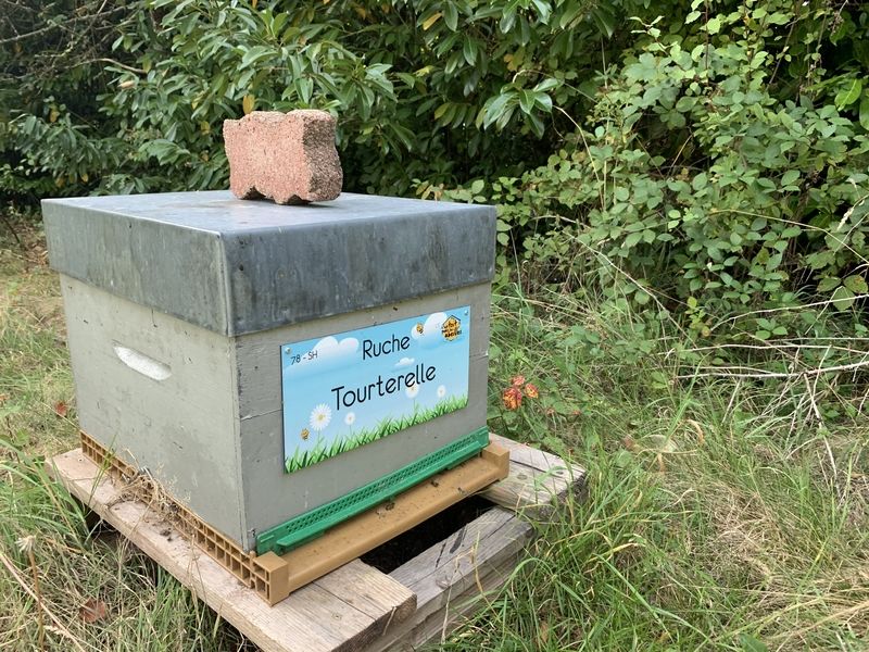 La ruche Tourterelle
