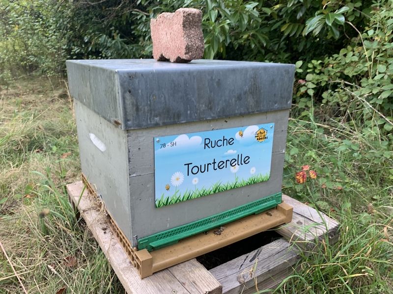 La ruche Tourterelle