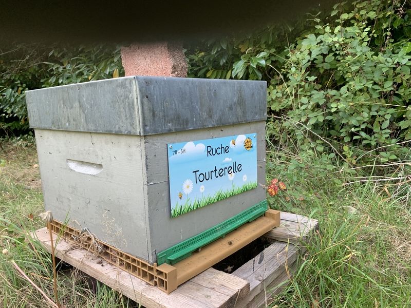 La ruche Tourterelle