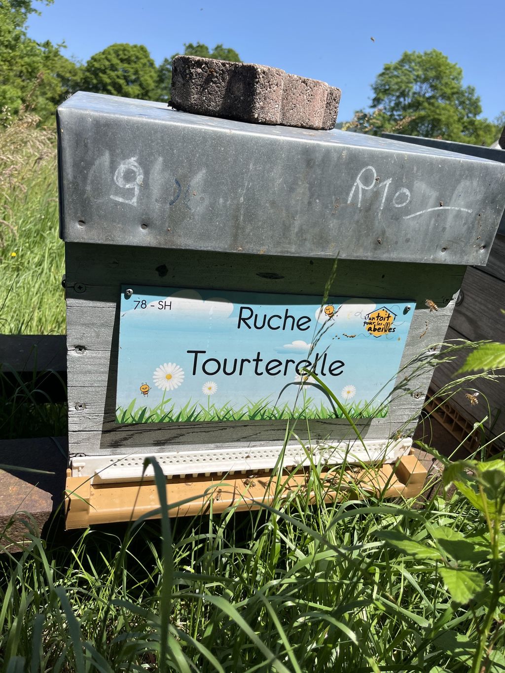 La ruche Tourterelle