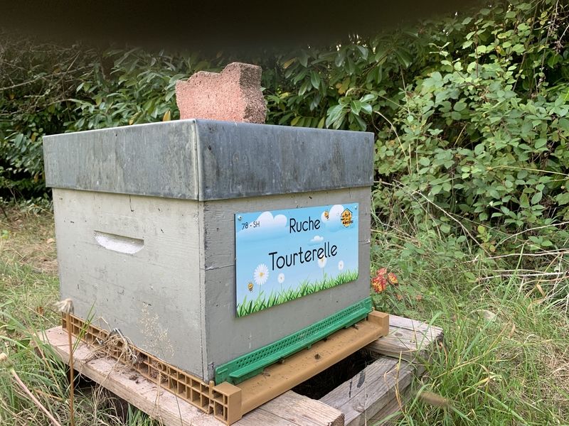 La ruche Tourterelle