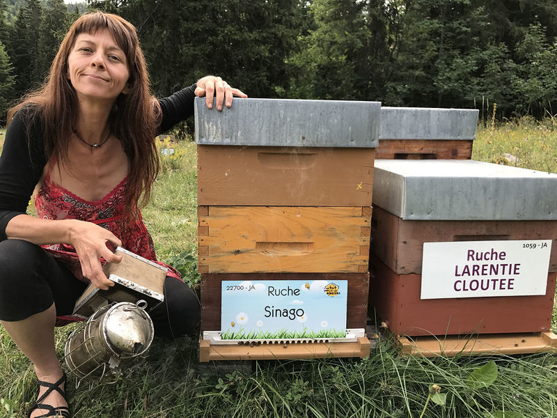 La ruche Larentie cloutee