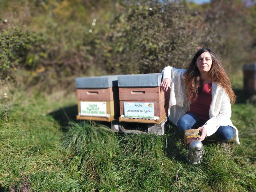 La ruche Lasiocampe du cypres