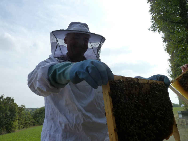 La ruche Lave de vert