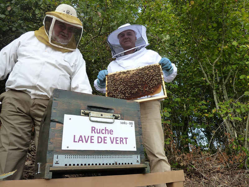 La ruche Lave de vert