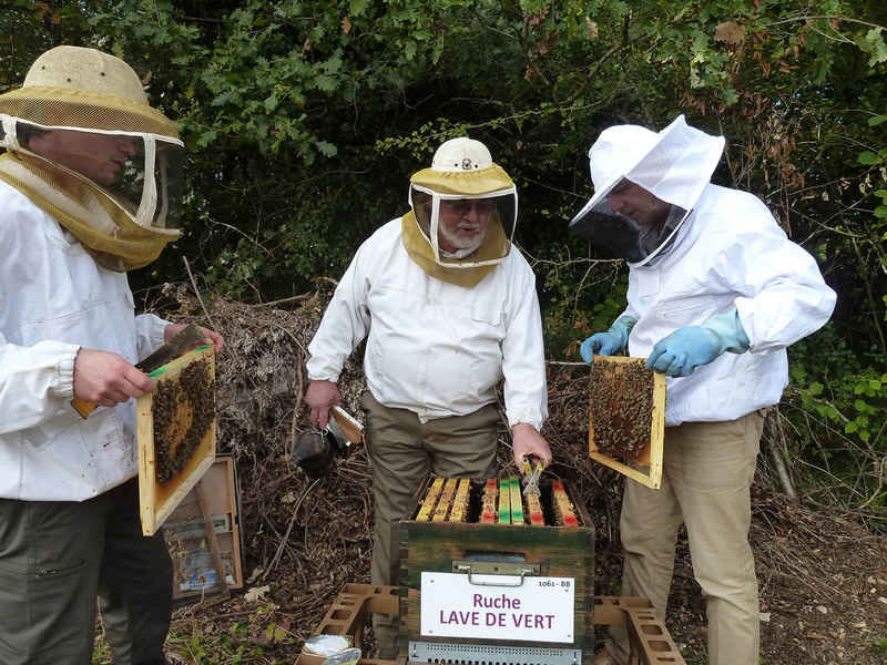 La ruche Lave de vert