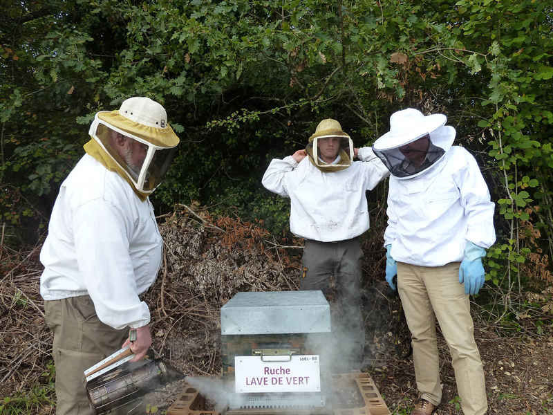 La ruche Lave de vert