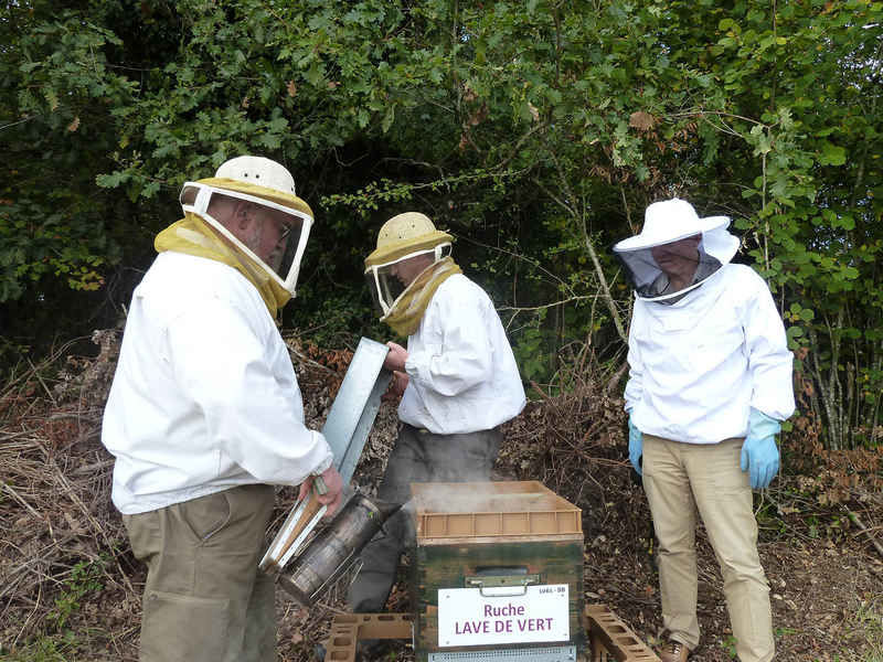 La ruche Lave de vert