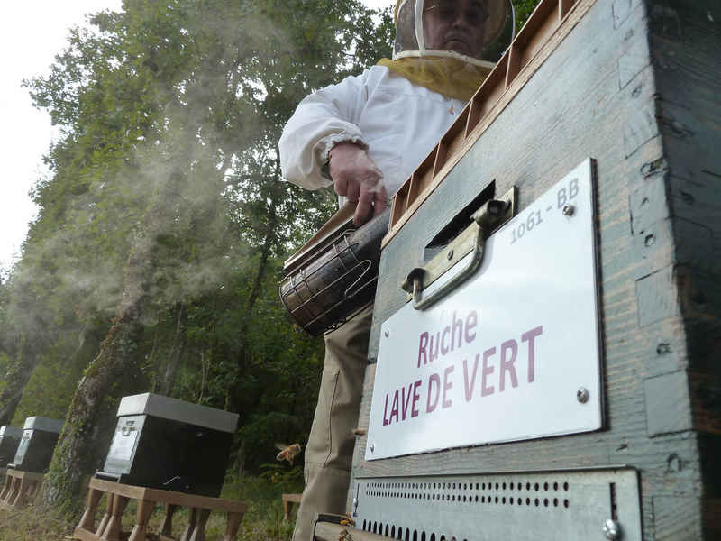 La ruche Lave de vert