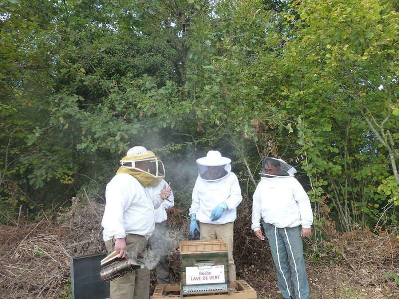 La ruche Lave de vert