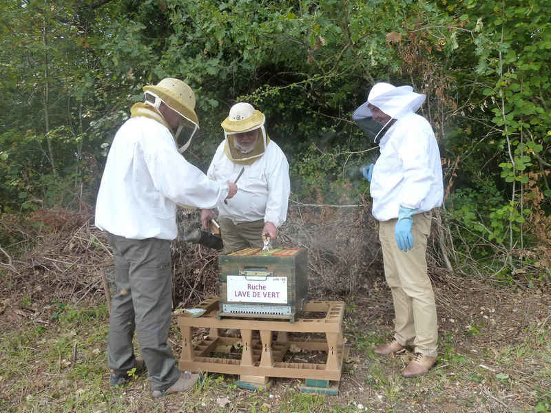 La ruche Lave de vert