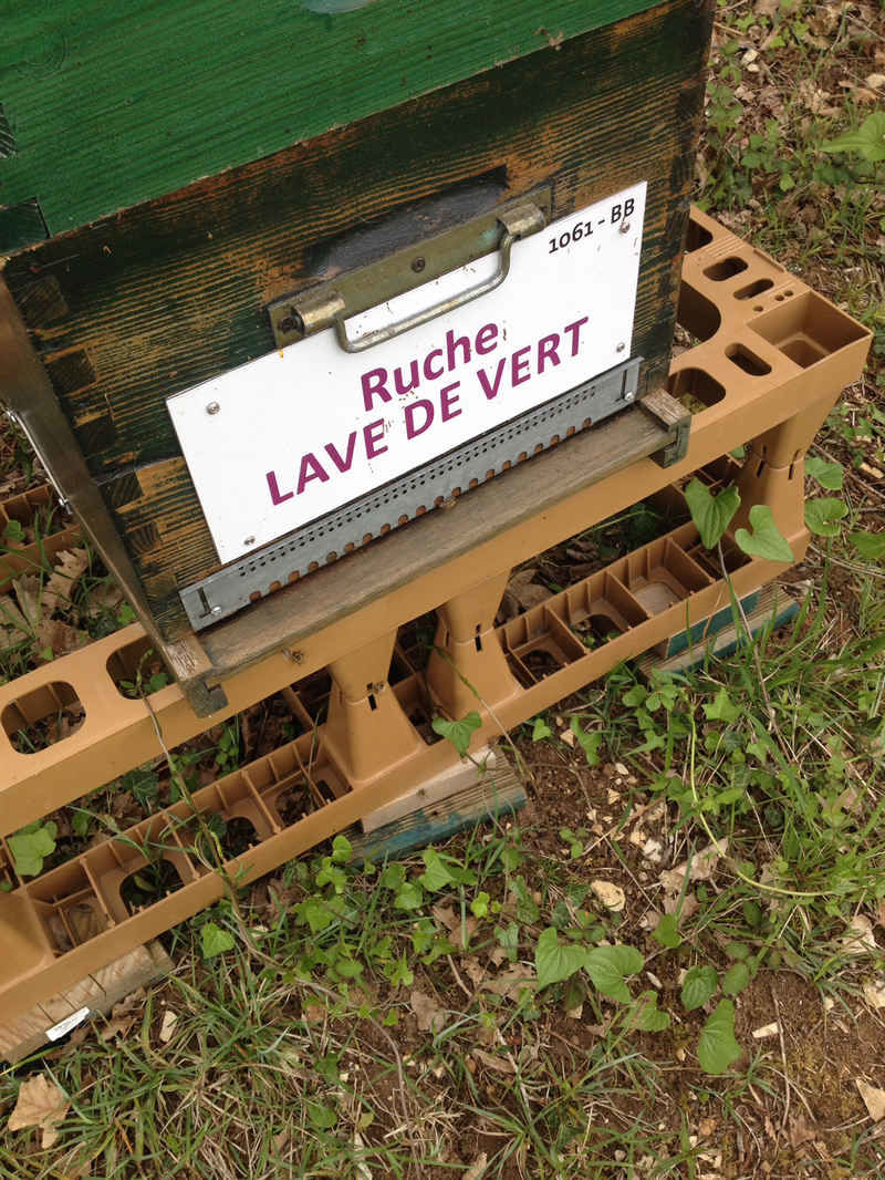 La ruche Lave de vert