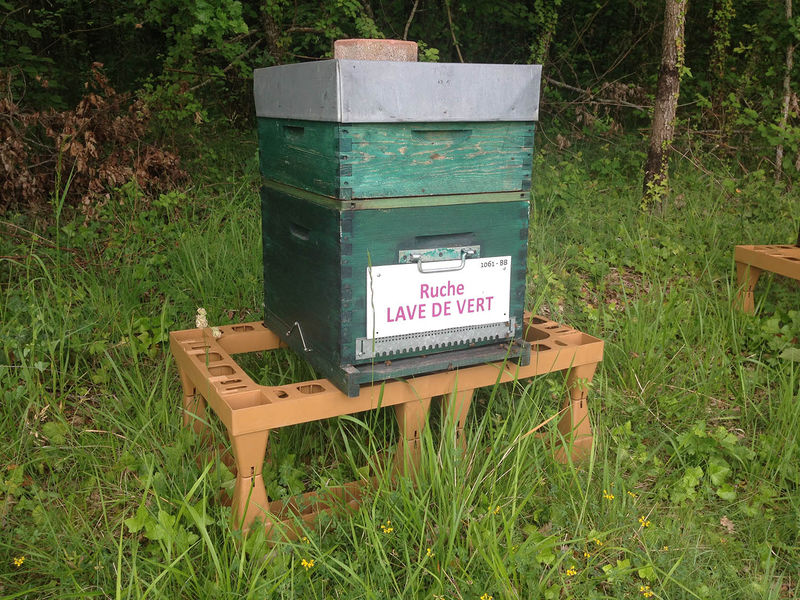 La ruche Lave de vert