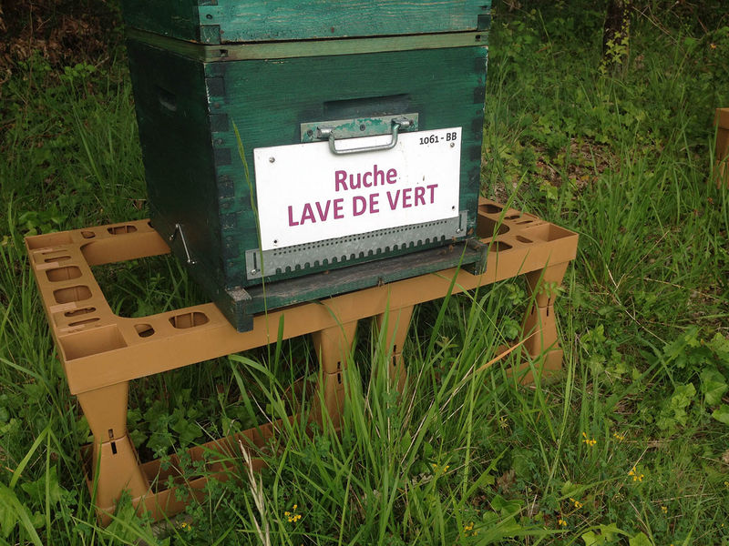 La ruche Lave de vert