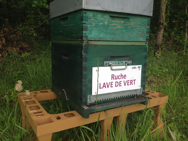 La ruche Lave de vert