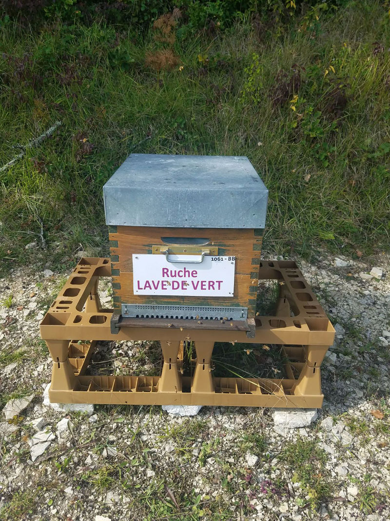 La ruche Lave de vert