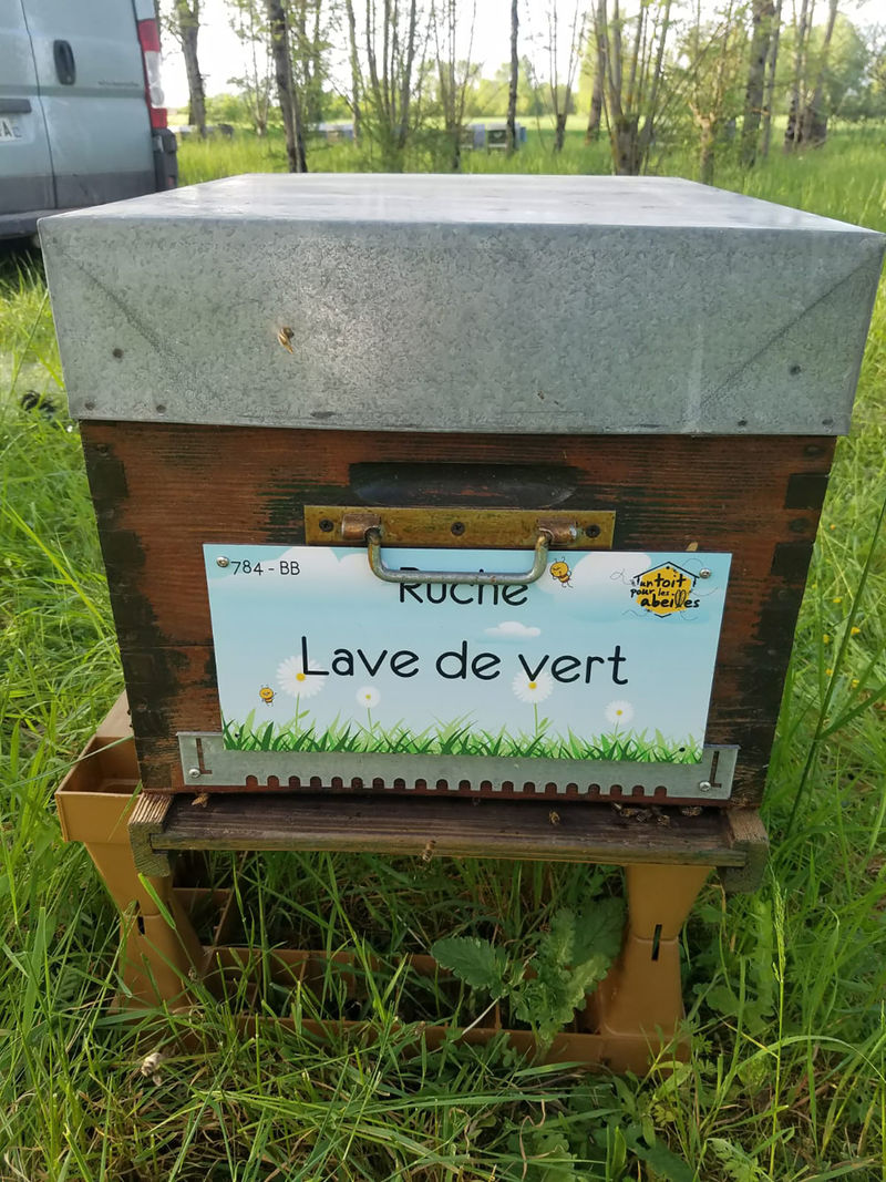 La ruche Lave de vert