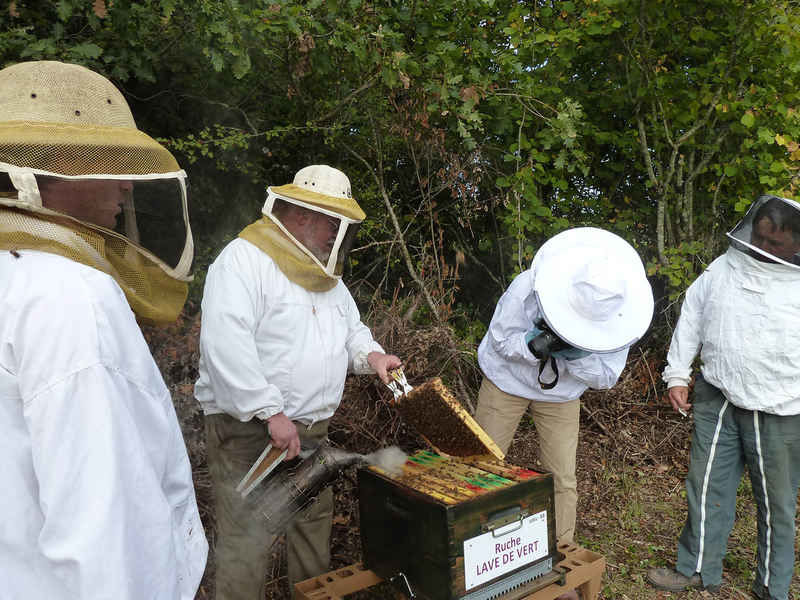 La ruche Lave de vert