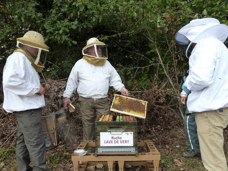 La ruche Lave de vert