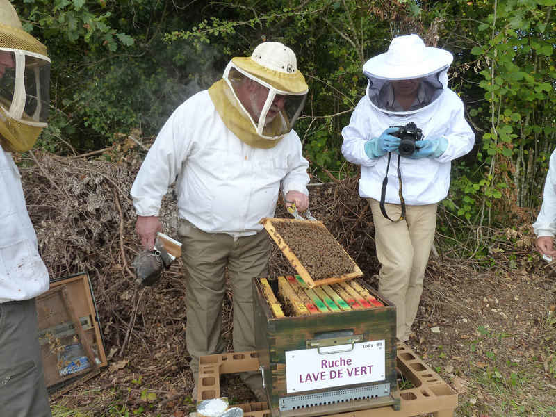La ruche Lave de vert