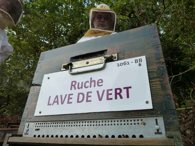 La ruche Lave de vert