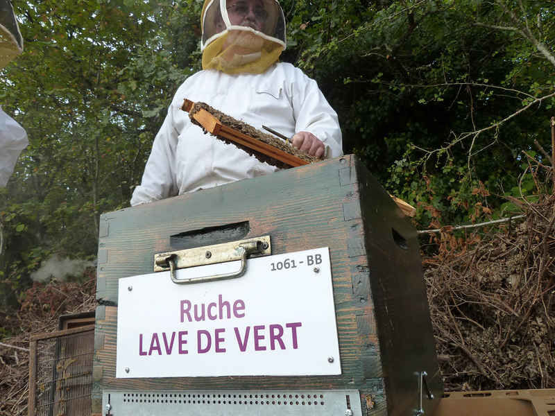 La ruche Lave de vert