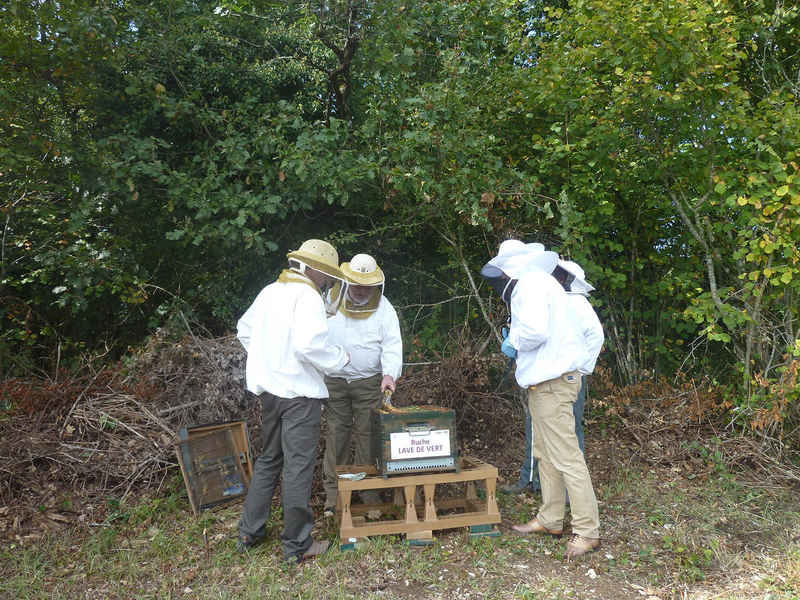 La ruche Lave de vert