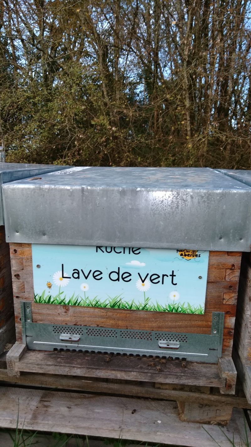 La ruche Lave de vert