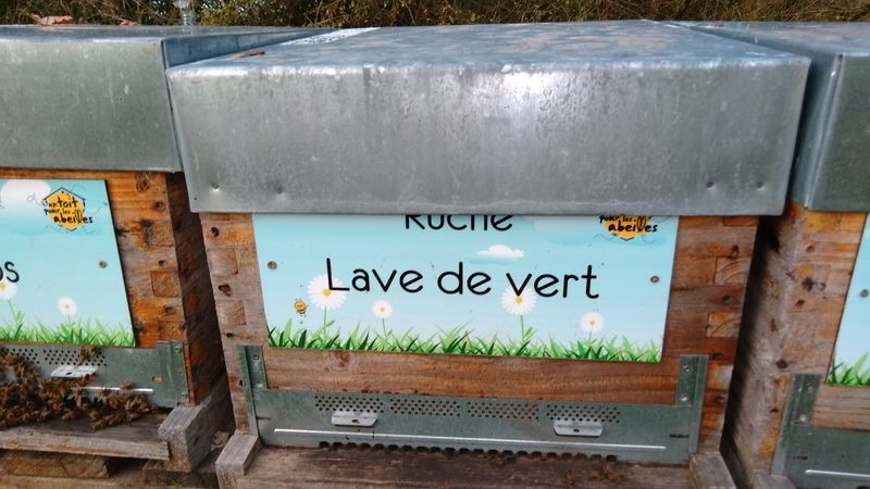 La ruche Lave de vert