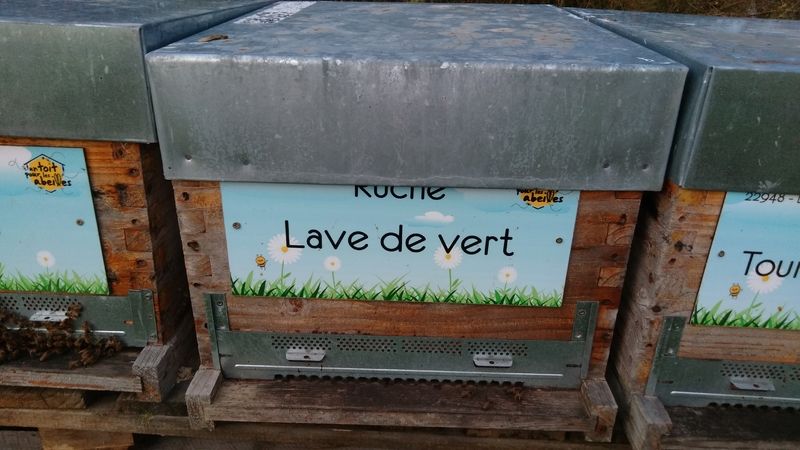 La ruche Lave de vert