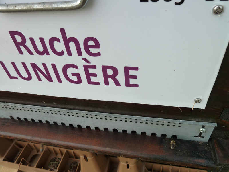 La ruche