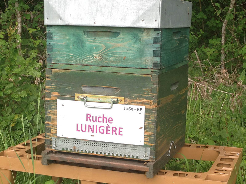 La ruche Lunigère