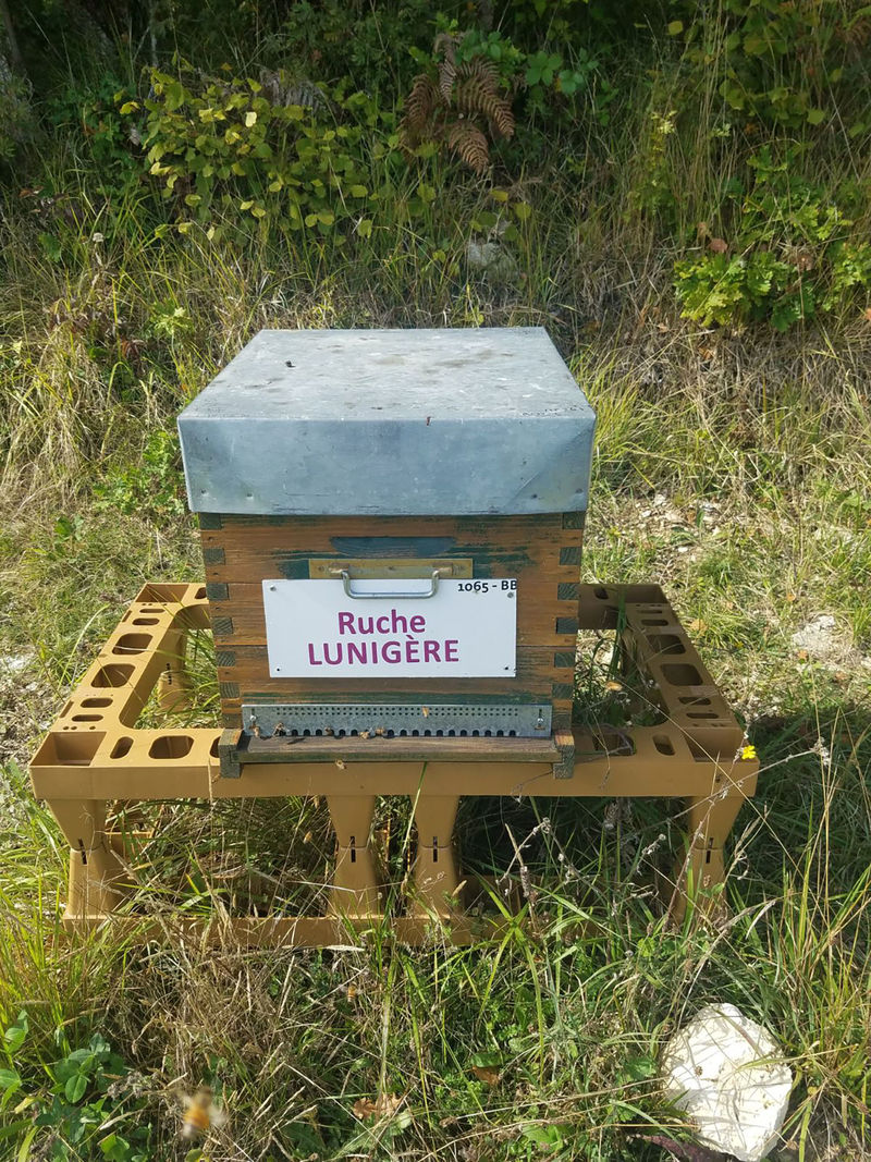 La ruche Lunigère