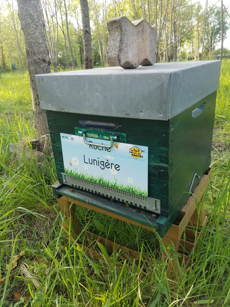 La ruche Lunigère