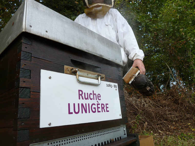 La ruche Lunigère