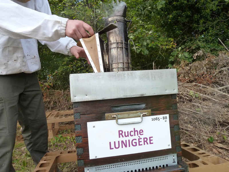 La ruche Lunigère