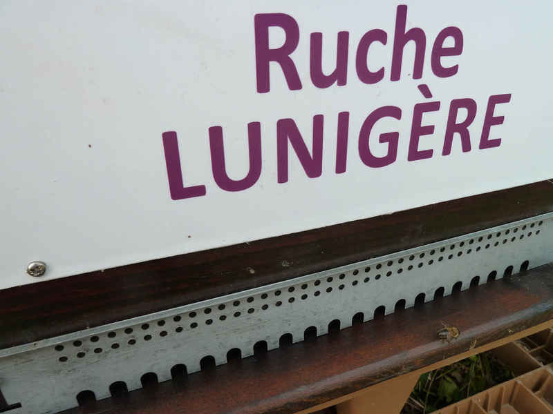 La ruche Lunigère