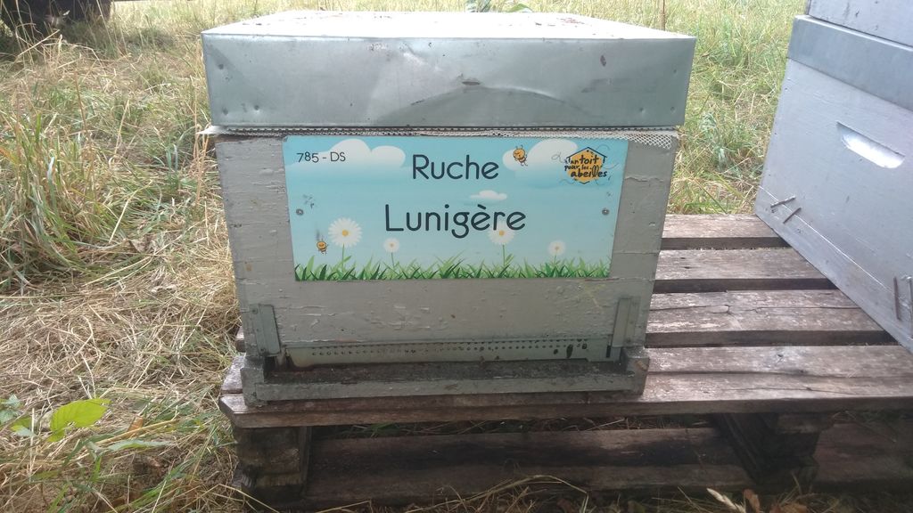 La ruche 