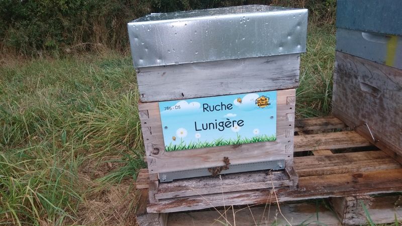 La ruche Lunigère
