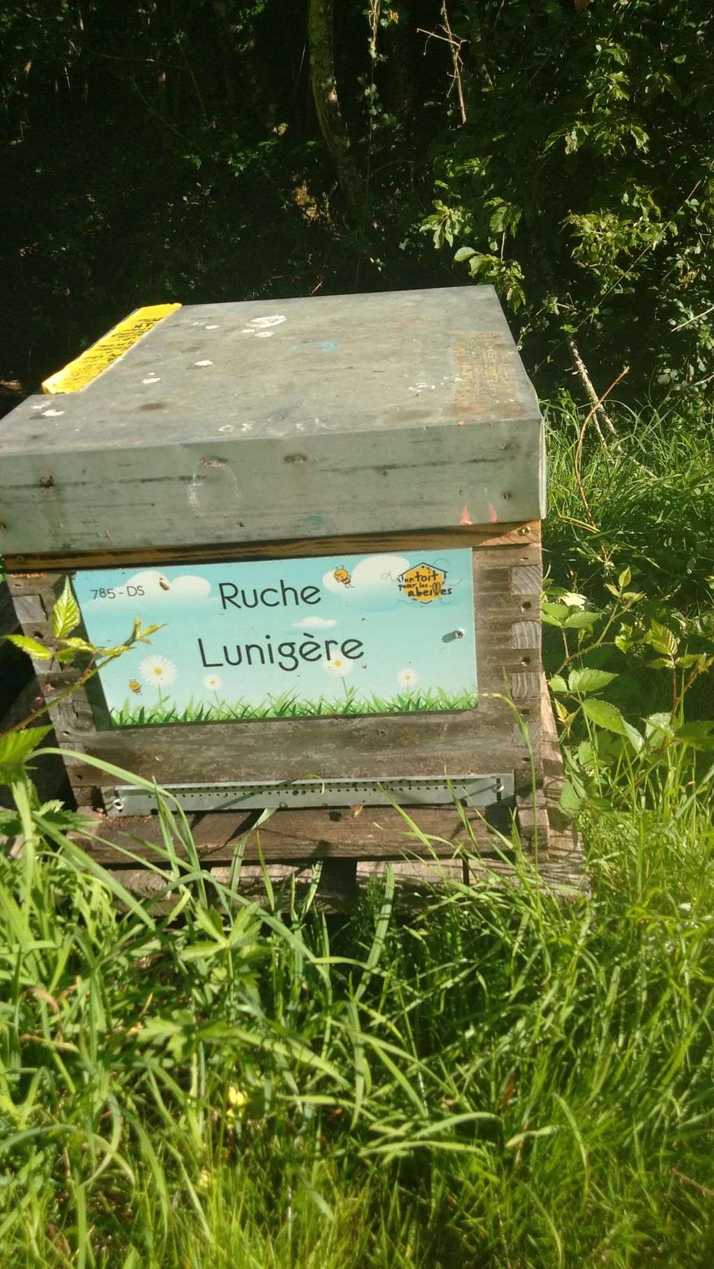 La ruche Lunigère