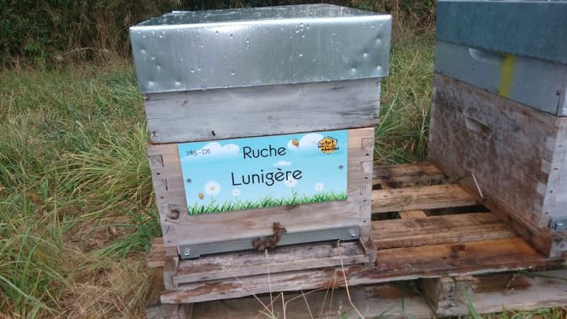 La ruche Lunigère