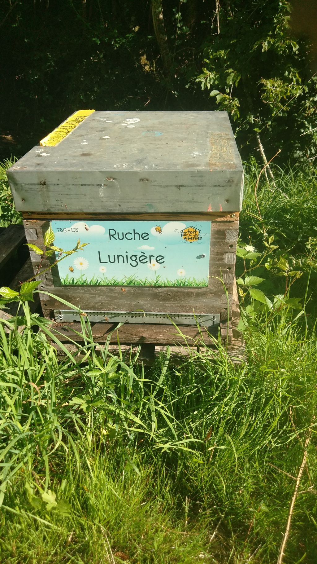 La ruche Lunigère