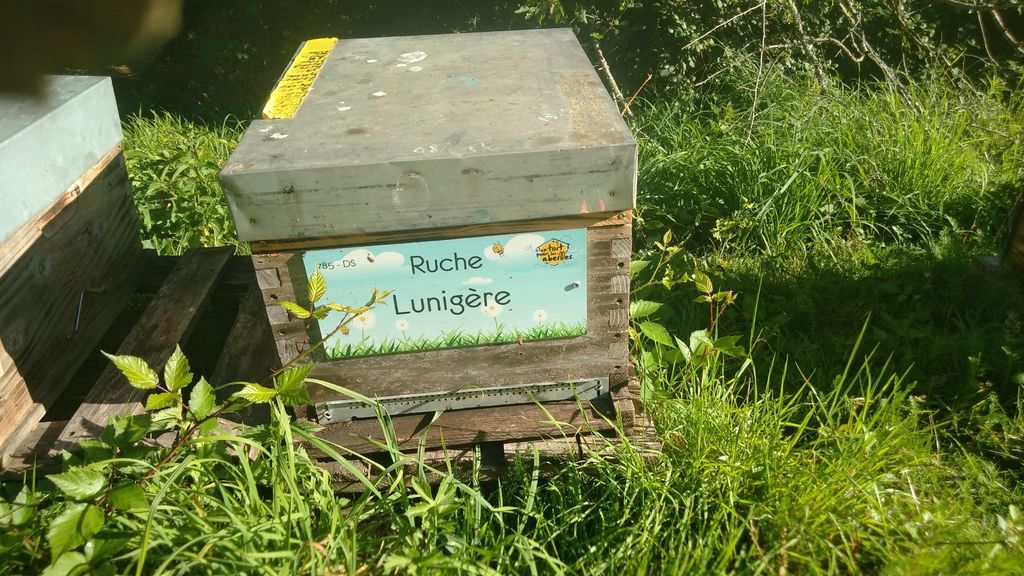 La ruche Lunigère