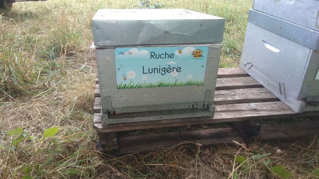 La ruche Lunigère