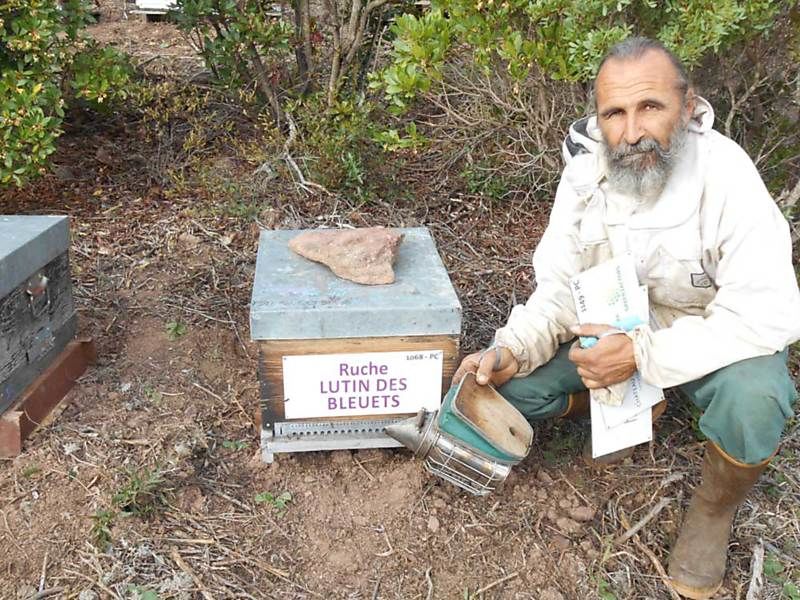 La ruche Lutin des bleuets